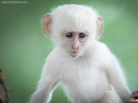 ���� ���� ������ �� ���� ������