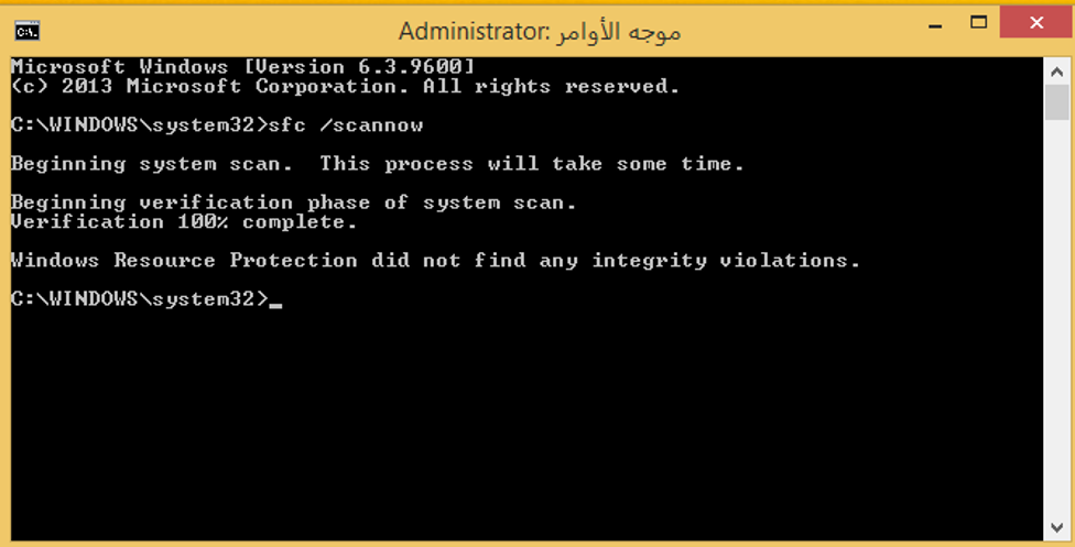 p_17223n79b1.png