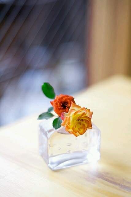 ���� ���� ������ �� ���� ������