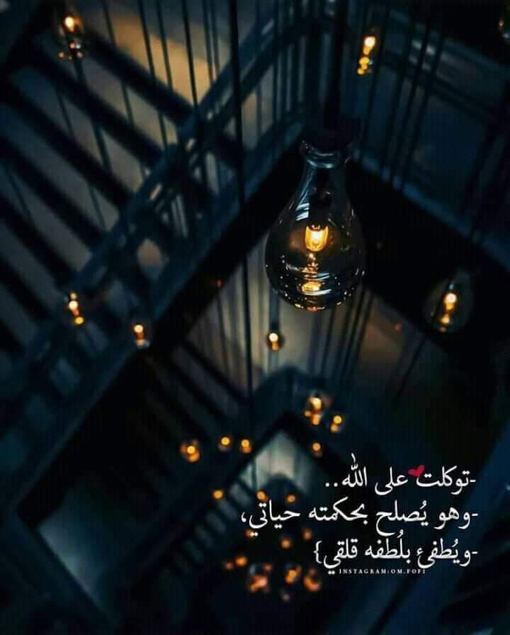 ���� ���� ������ �� ���� ������