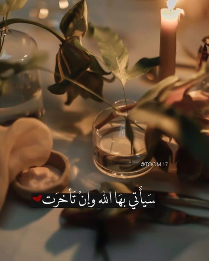 ���� ���� ������ �� ���� ������