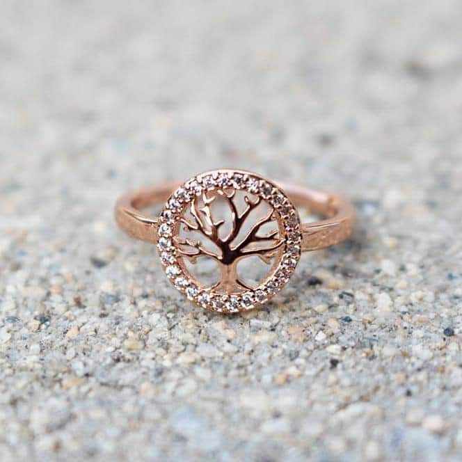 ���� ���� ������ �� ���� ������