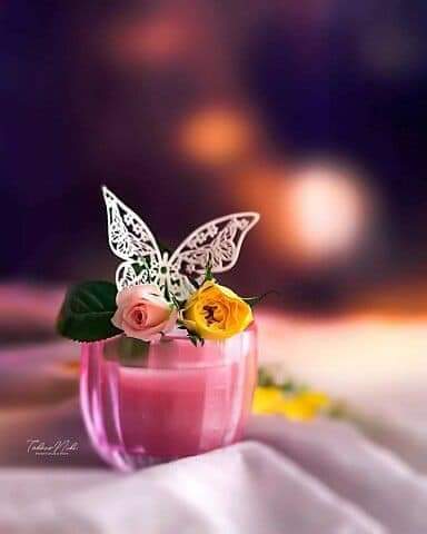 ���� ���� ������ �� ���� ������