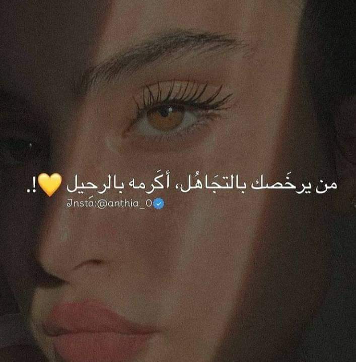 ���� ���� ������ �� ���� ������