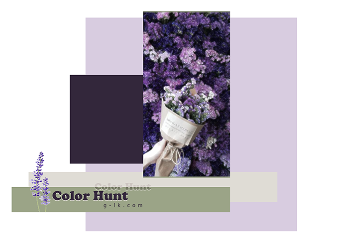 Color Hunt   