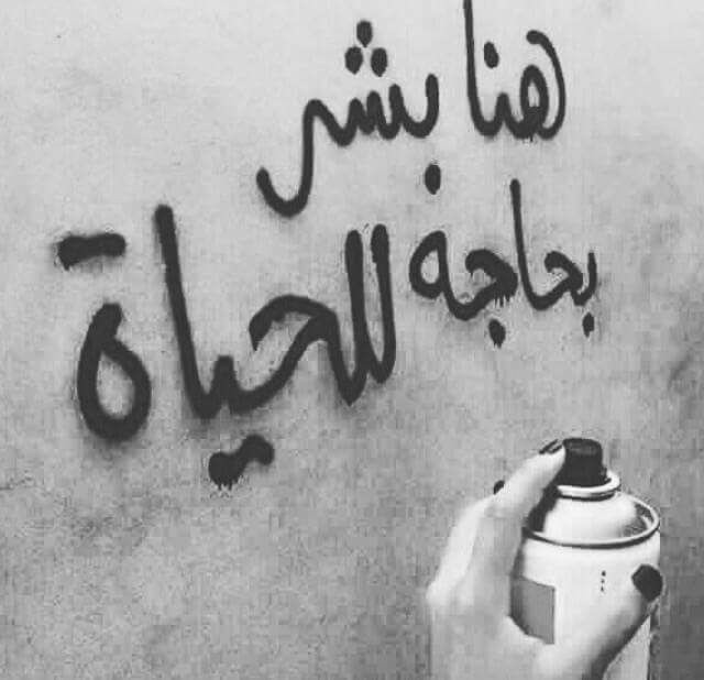 ���� ���� ������ �� ���� ������