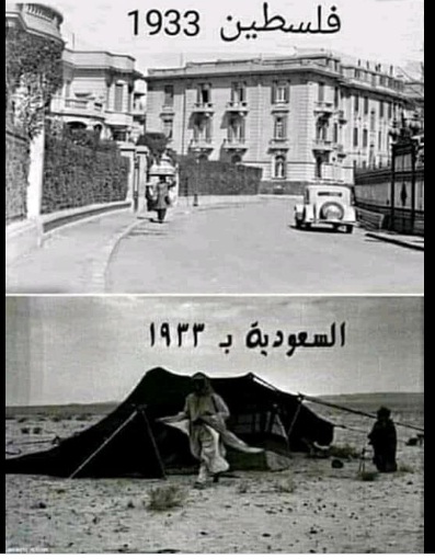 هذا جزء من تاريخ ارض بلادي (فلسطين) P_1962nlgyf6