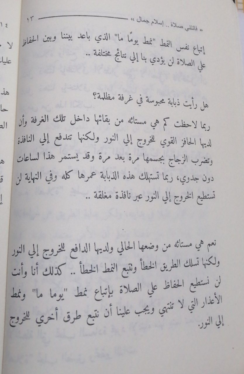 ���� ���� ������ �� ���� ������