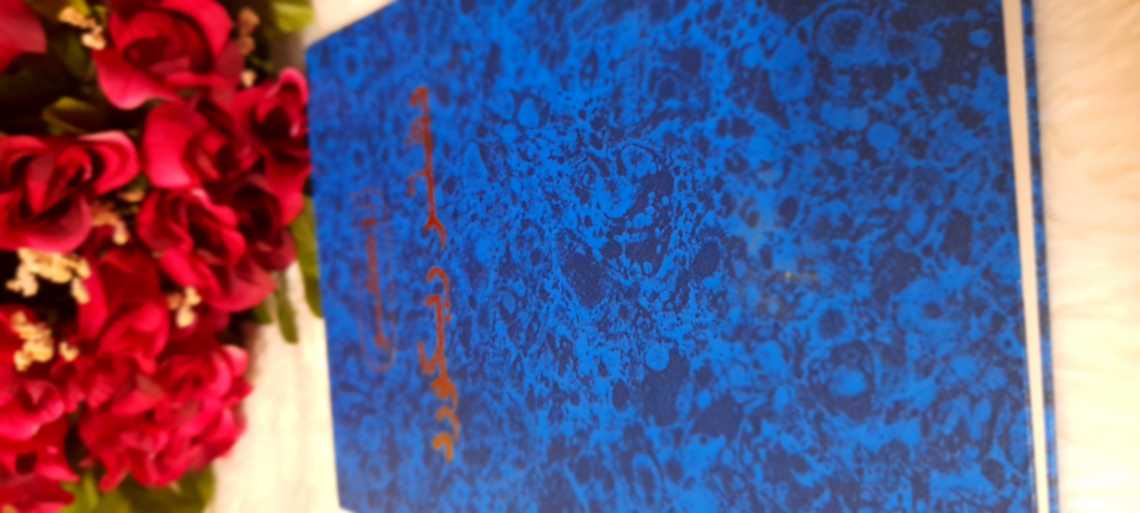 ���� ���� ������ �� ���� ������