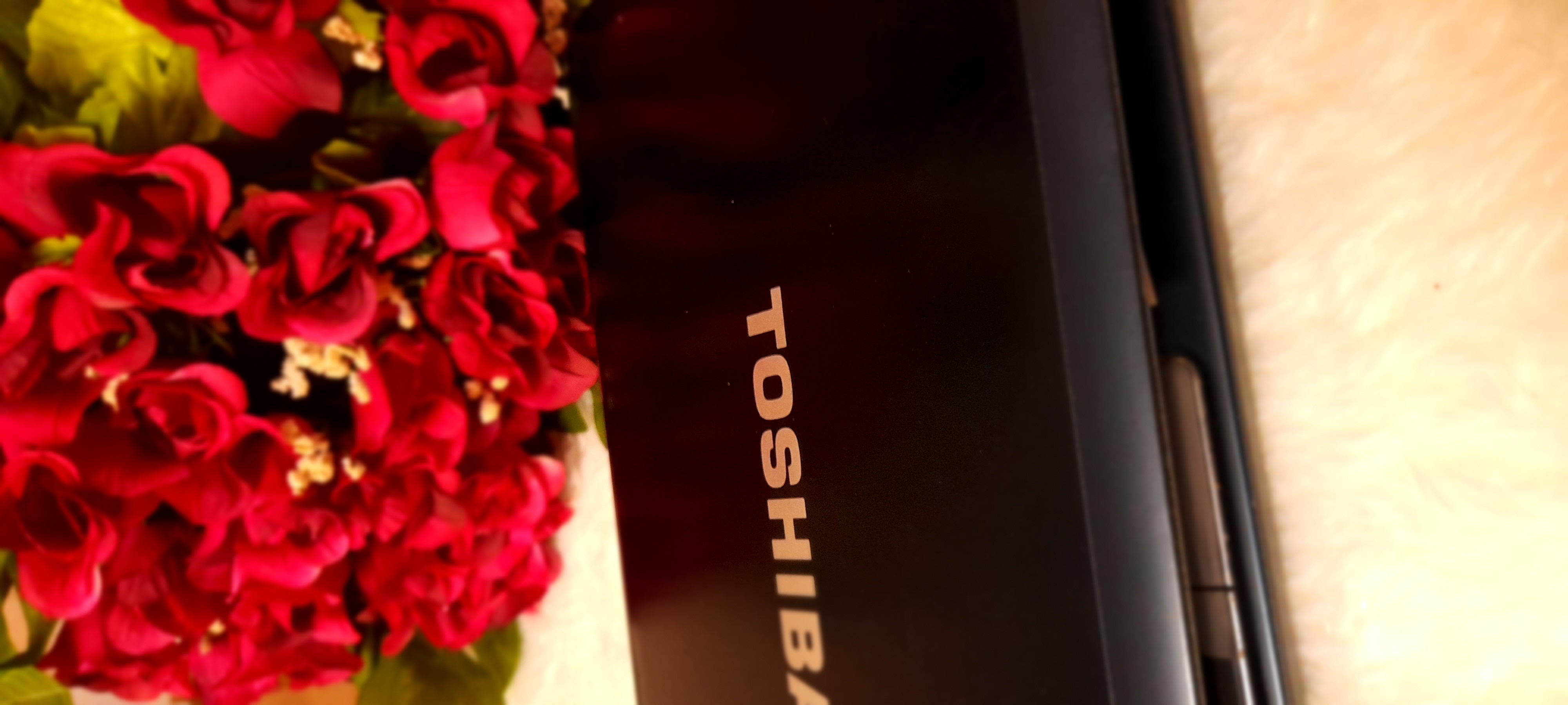 ���� ���� ������ �� ���� ������