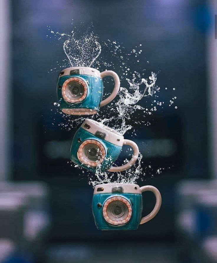 ���� ���� ������ �� ���� ������