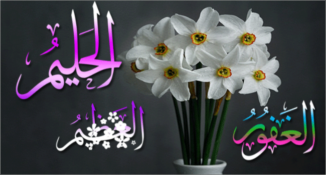 نقره لعرض الصورة في صفحة مستقلة
