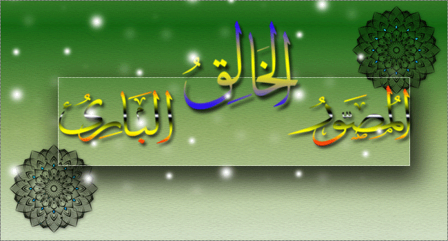 نقره لعرض الصورة في صفحة مستقلة