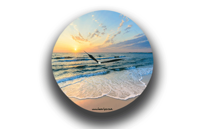 ���� ���� ������ �� ���� ������