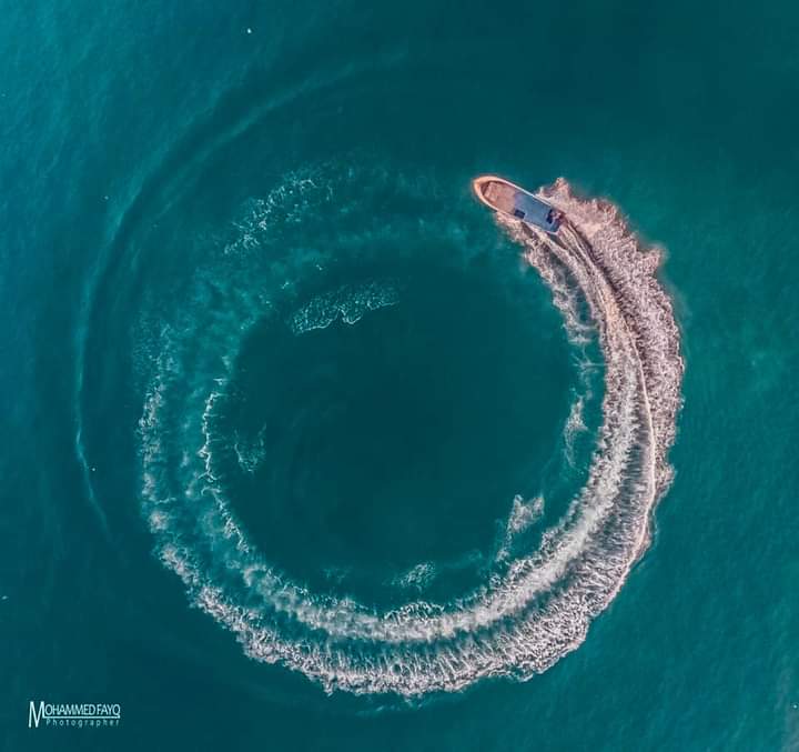 ���� ���� ������ �� ���� ������