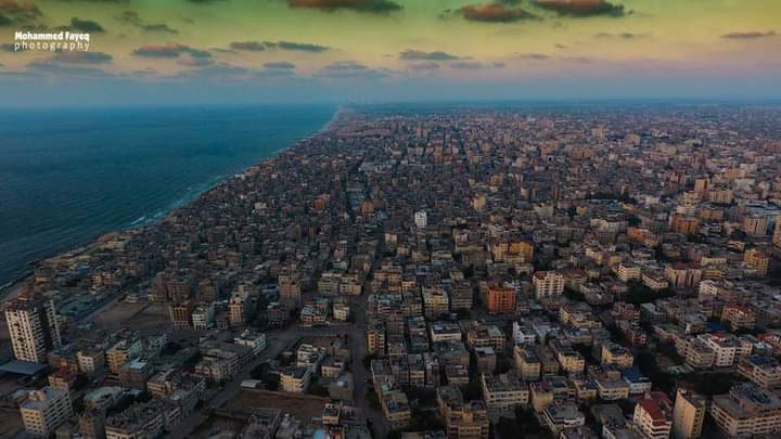 ���� ���� ������ �� ���� ������