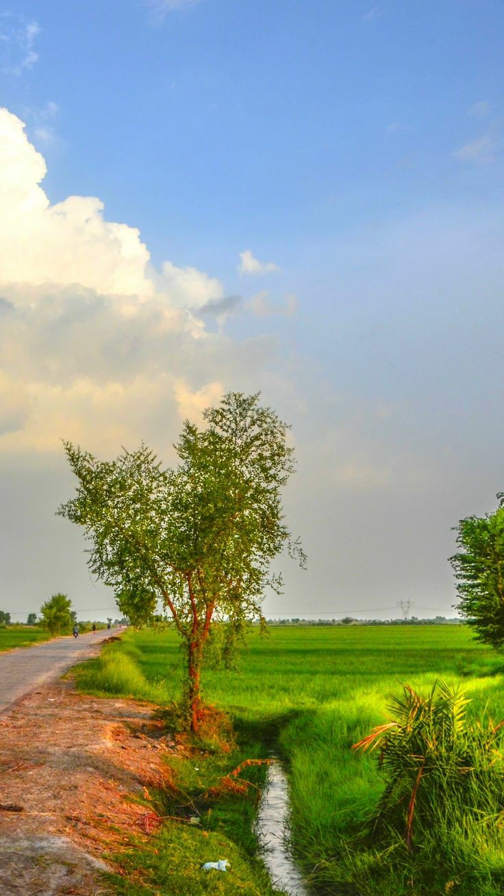 ���� ���� ������ �� ���� ������