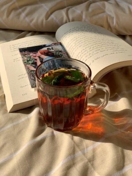 ���� ���� ������ �� ���� ������