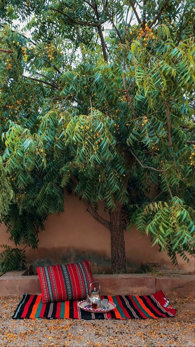 ���� ���� ������ �� ���� ������