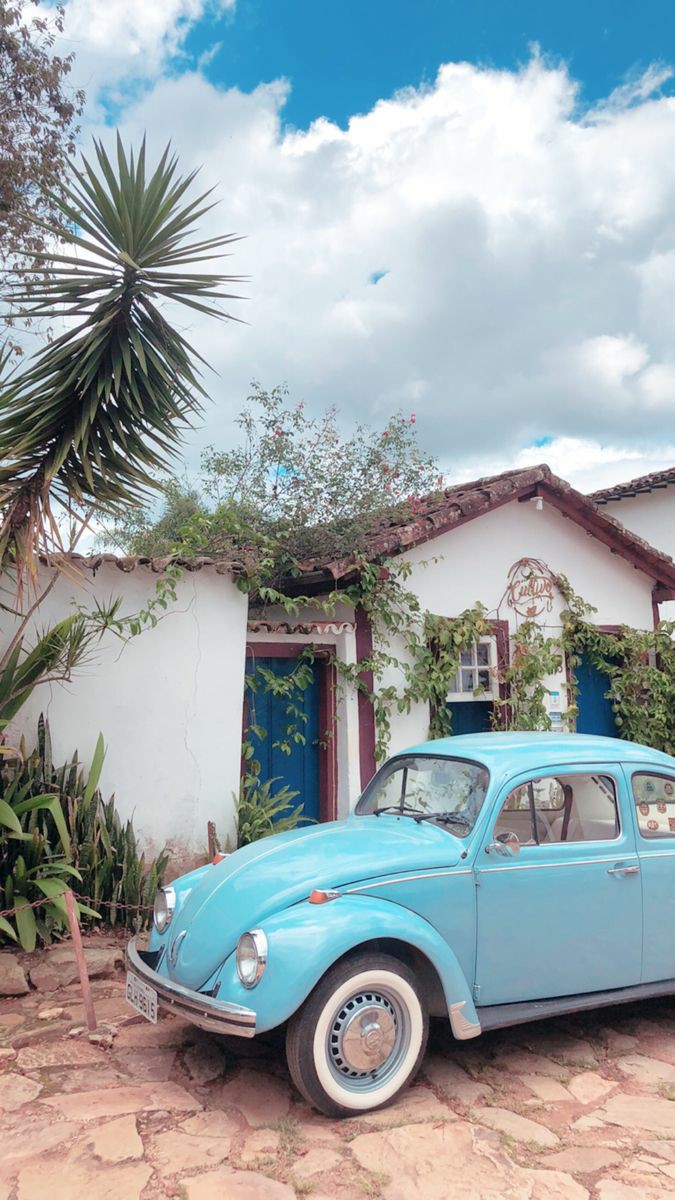 ���� ���� ������ �� ���� ������