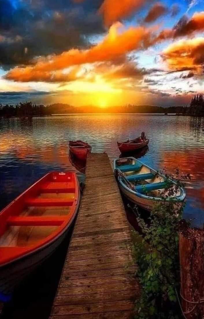 ���� ���� ������ �� ���� ������