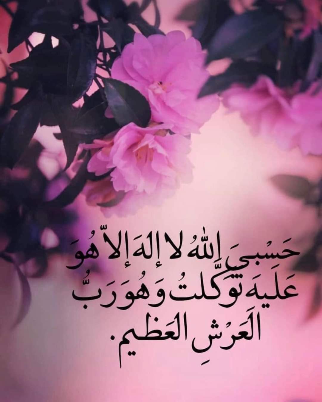 ���� ���� ������ �� ���� ������