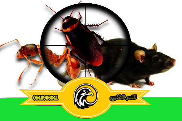 مكافحه الحشرات بالمدينة المنورة جميع انواع الحشرات P_2540g0yln6