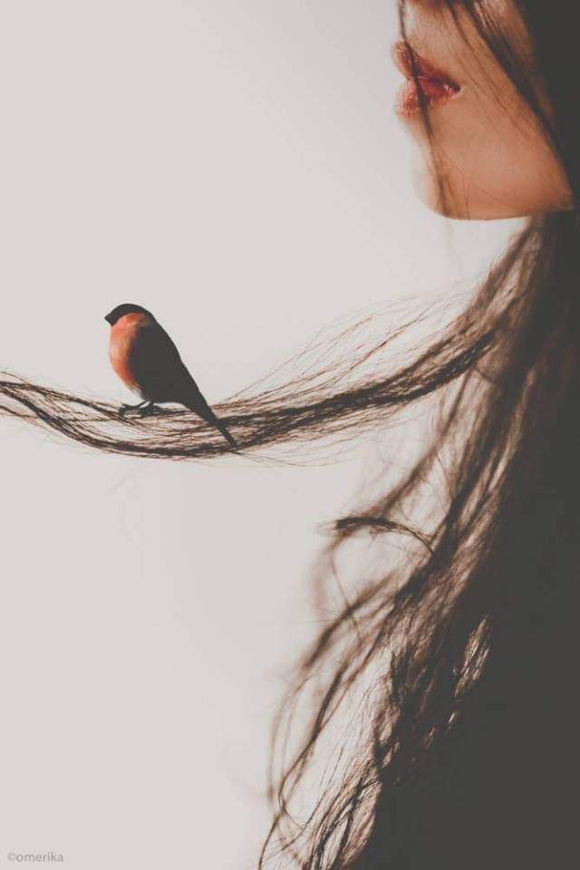 ���� ���� ������ �� ���� ������