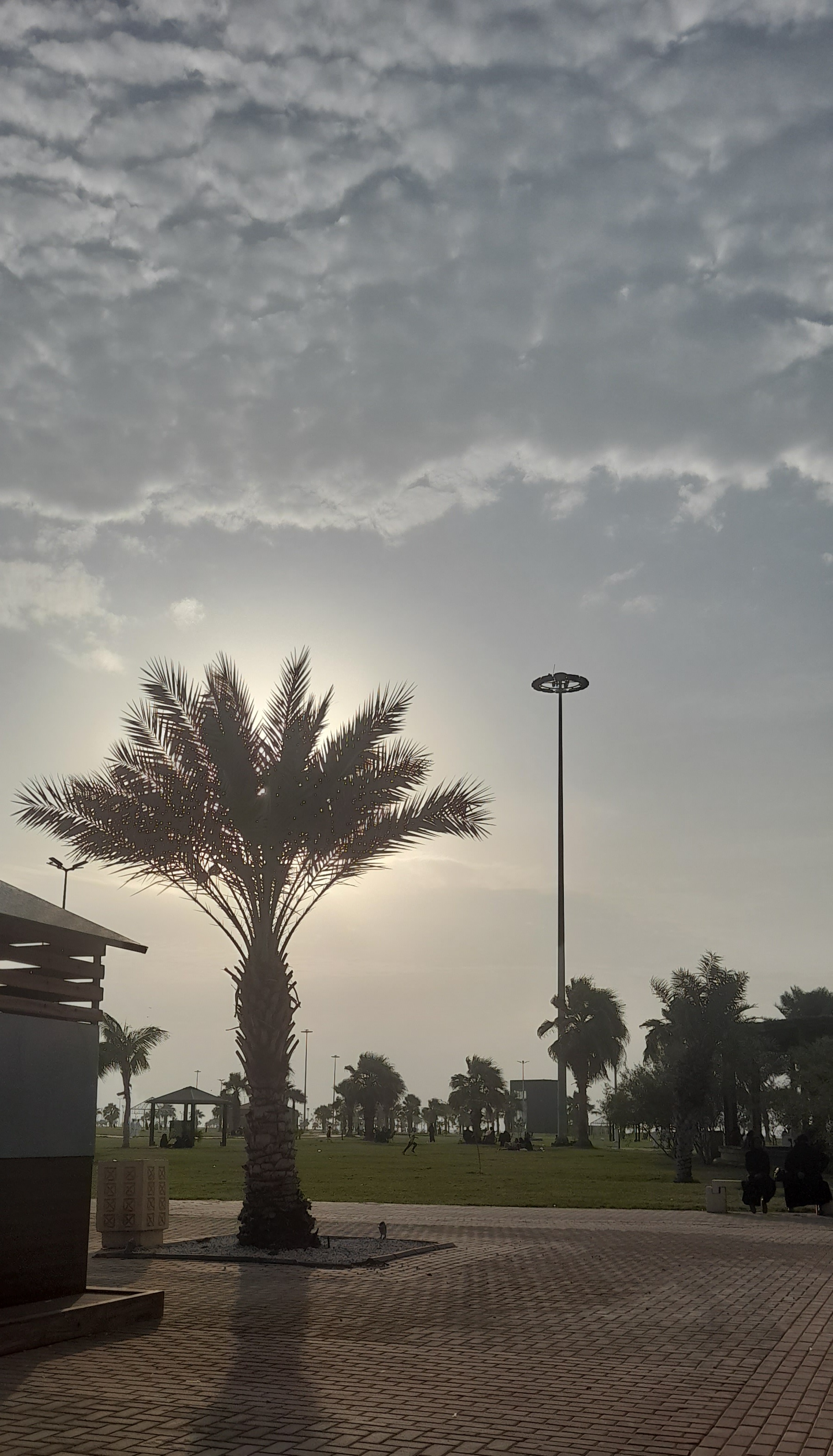 ���� ���� ������ �� ���� ������