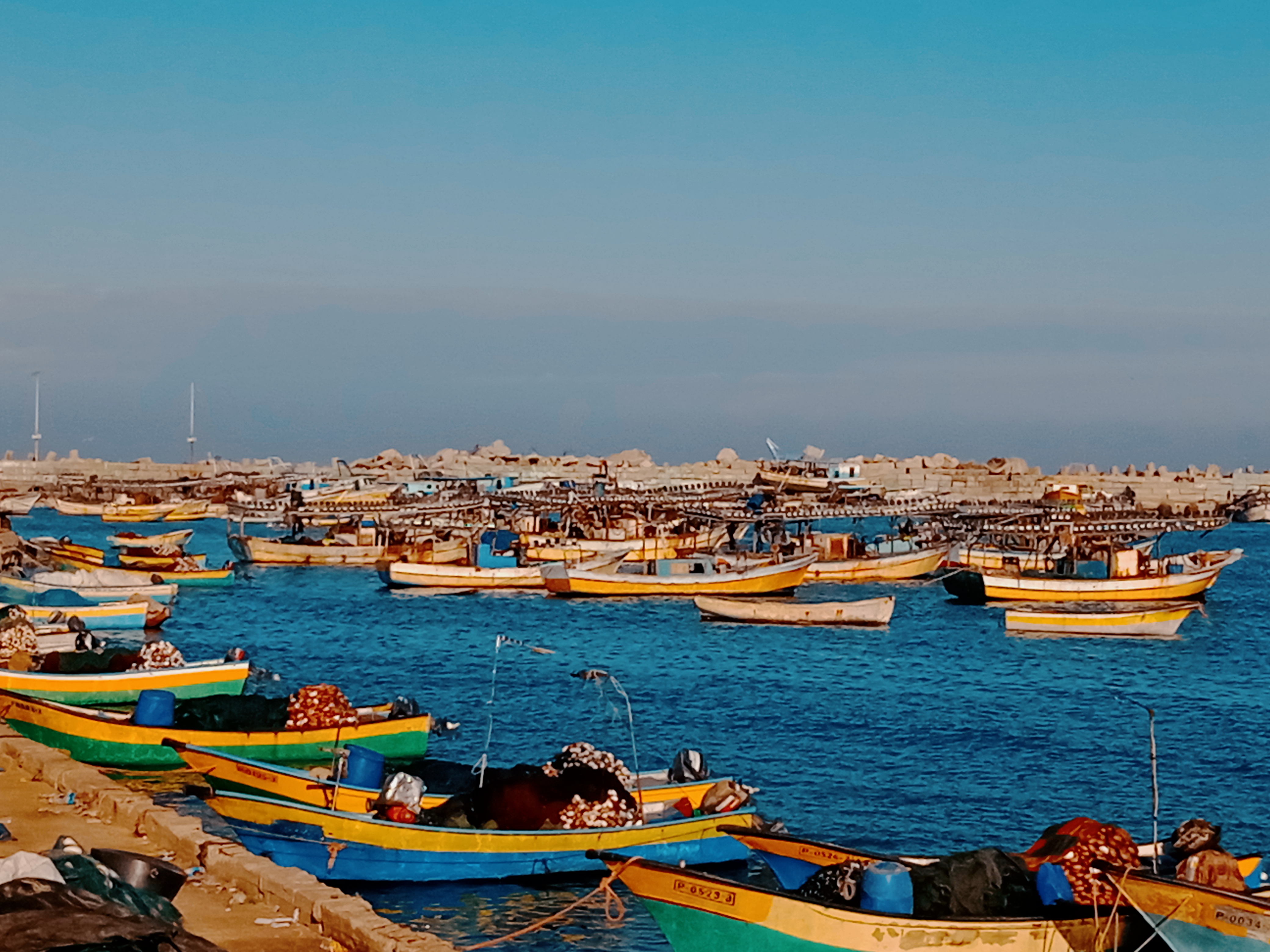 نقره لعرض الصورة في صفحة مستقلة