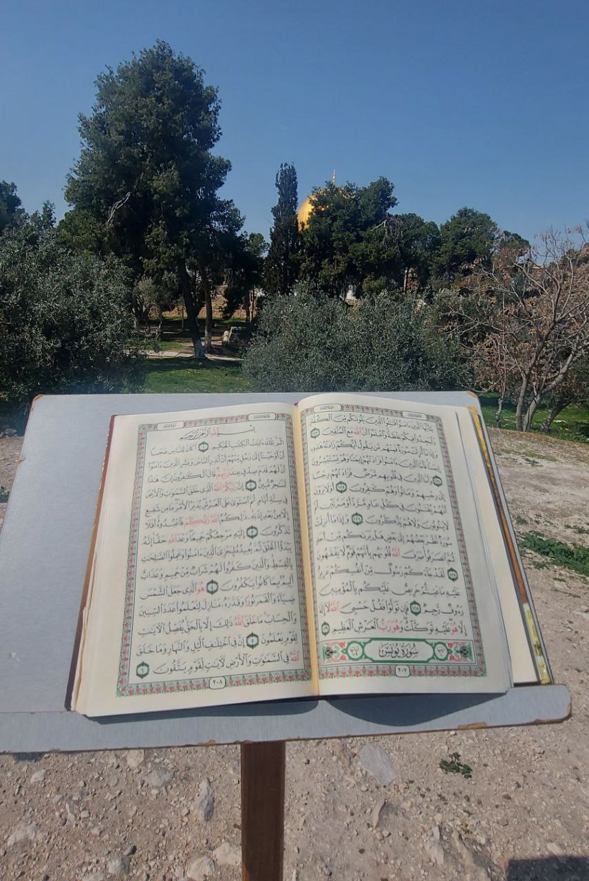 ���� ���� ������ �� ���� ������