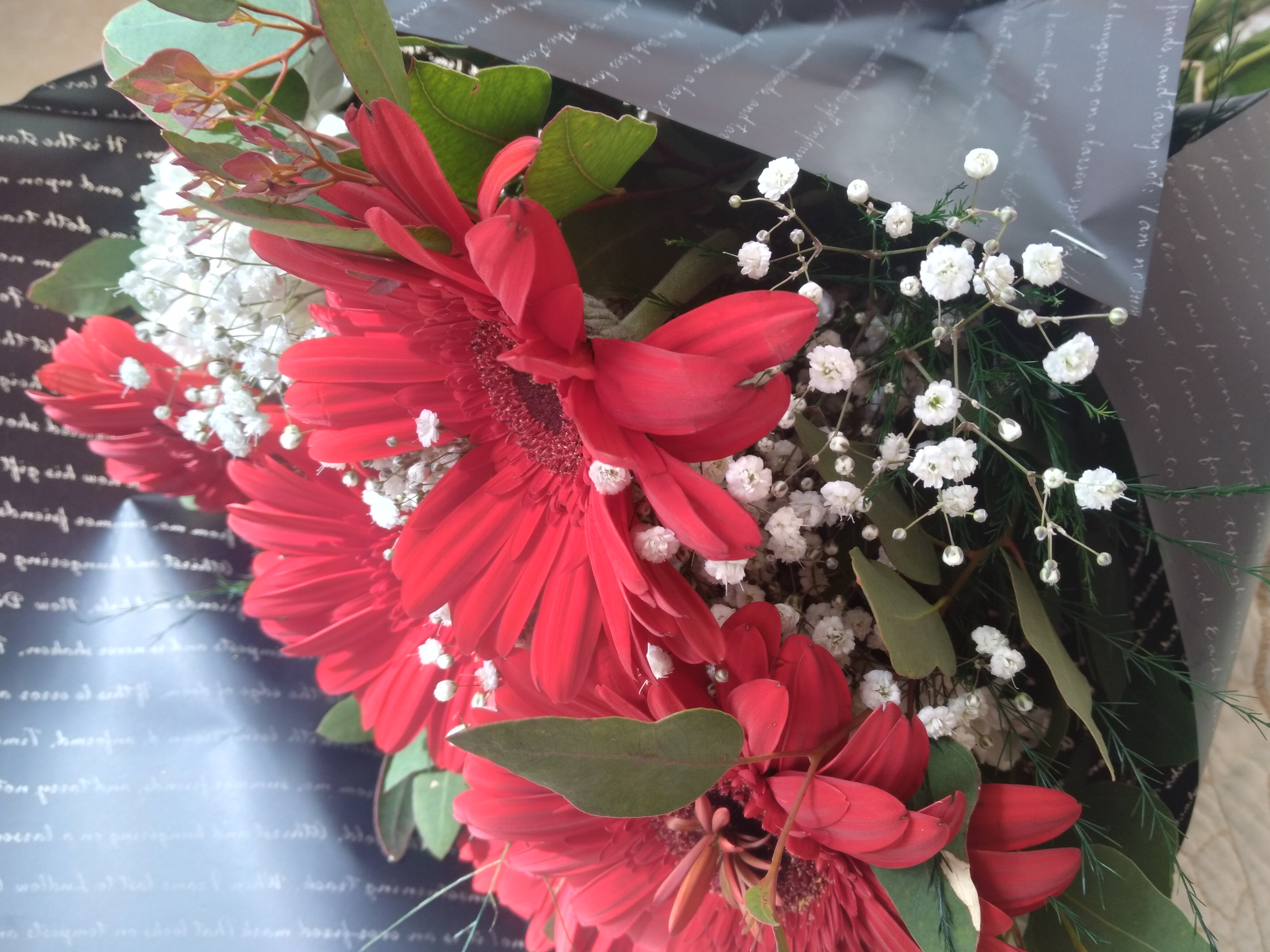 ���� ���� ������ �� ���� ������