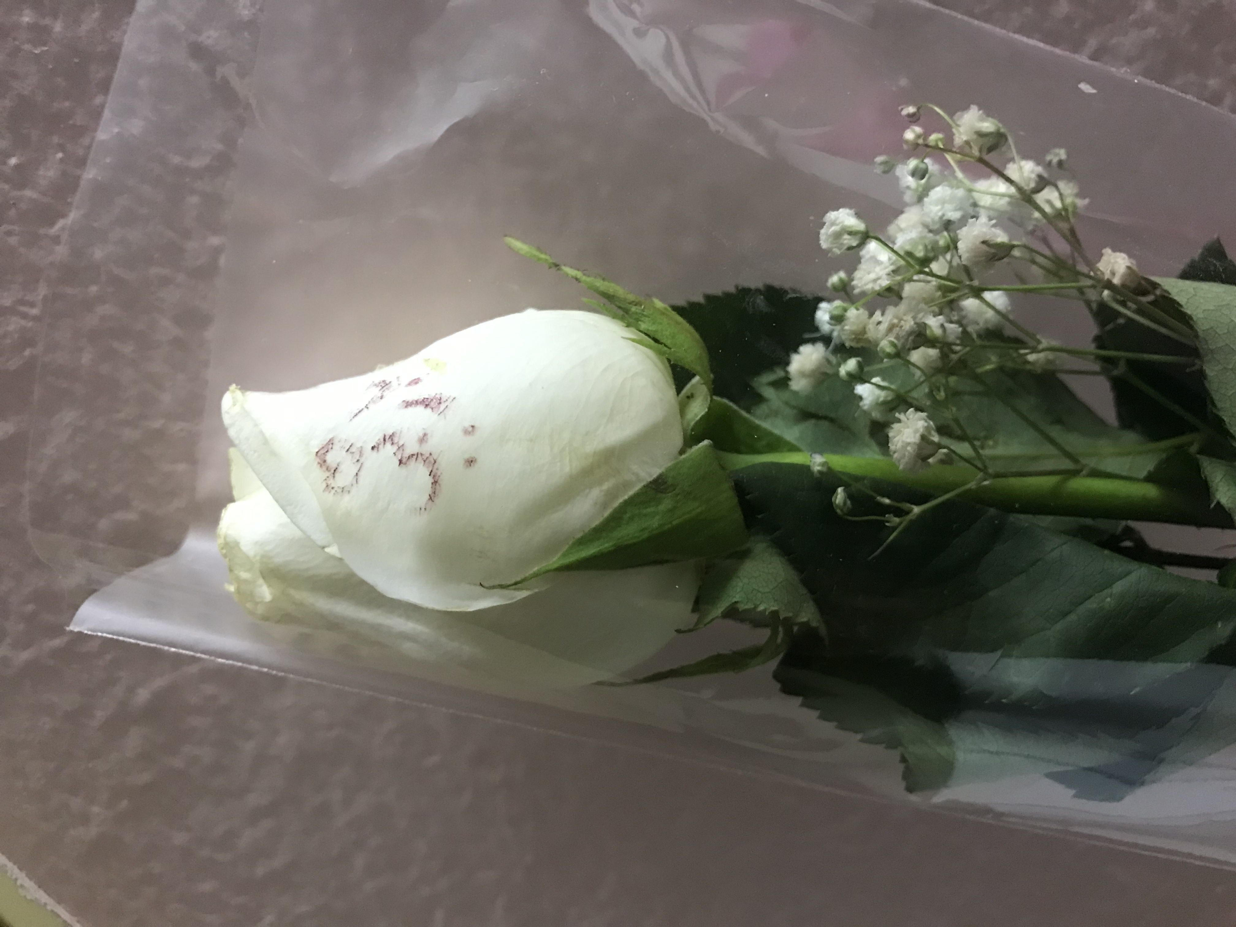 ���� ���� ������ �� ���� ������