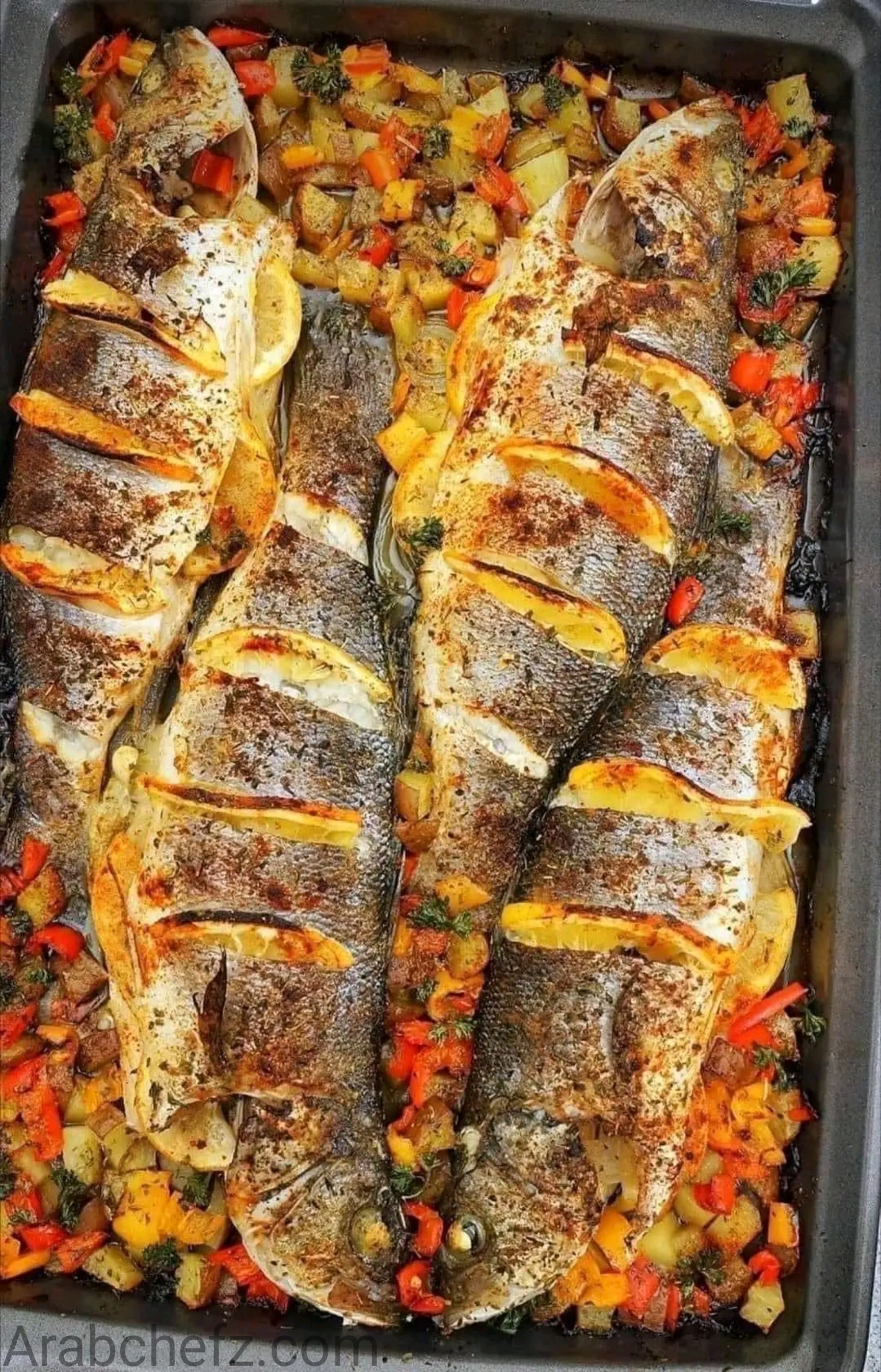 صينية سمك الماكريل