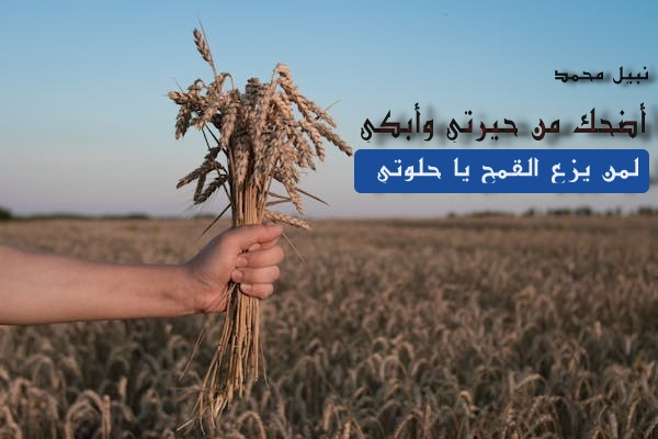 ���� �����..