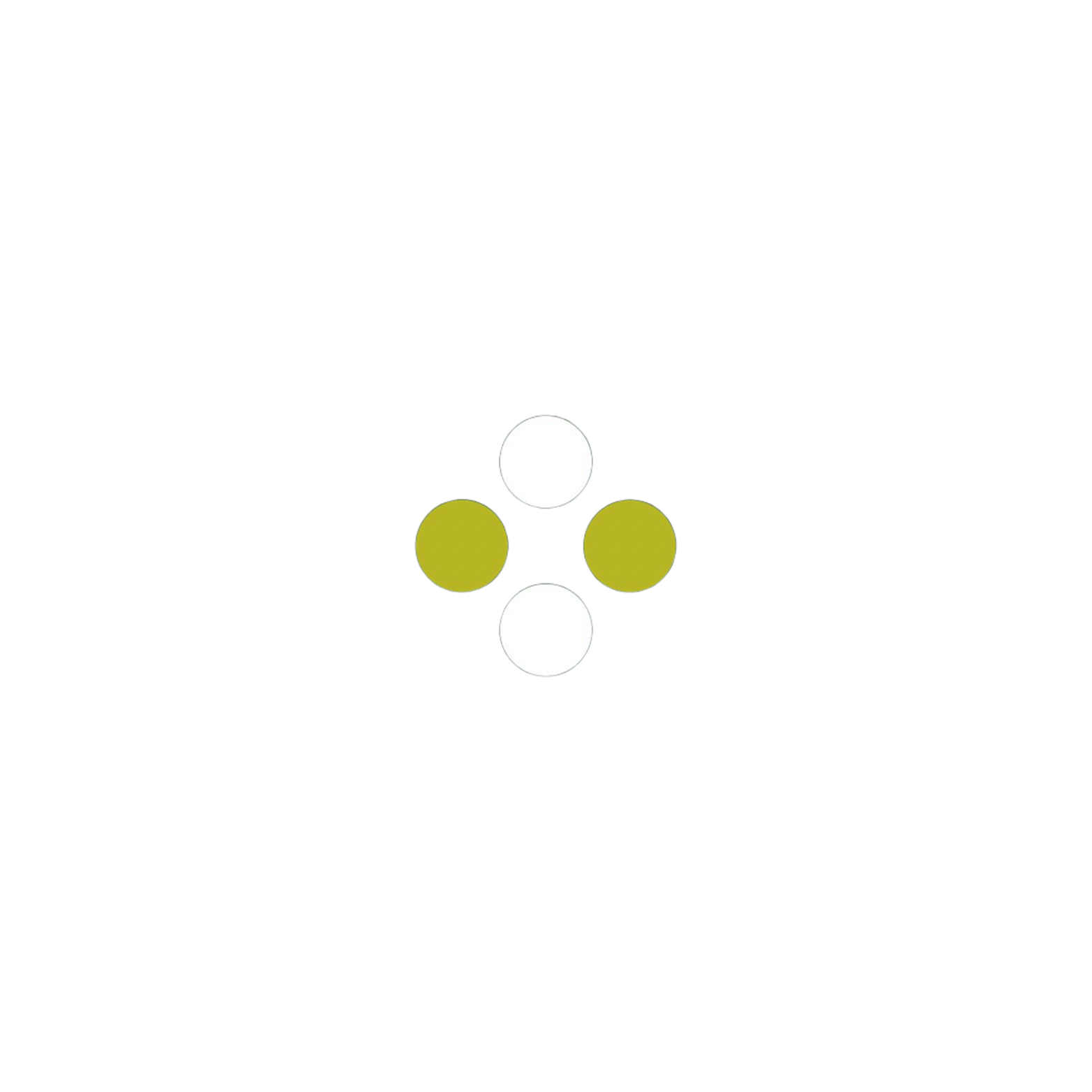 Loading Page