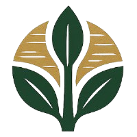 Logo Barokah Jaya Balsa