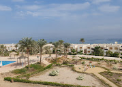 Hijaz Oasis image 3