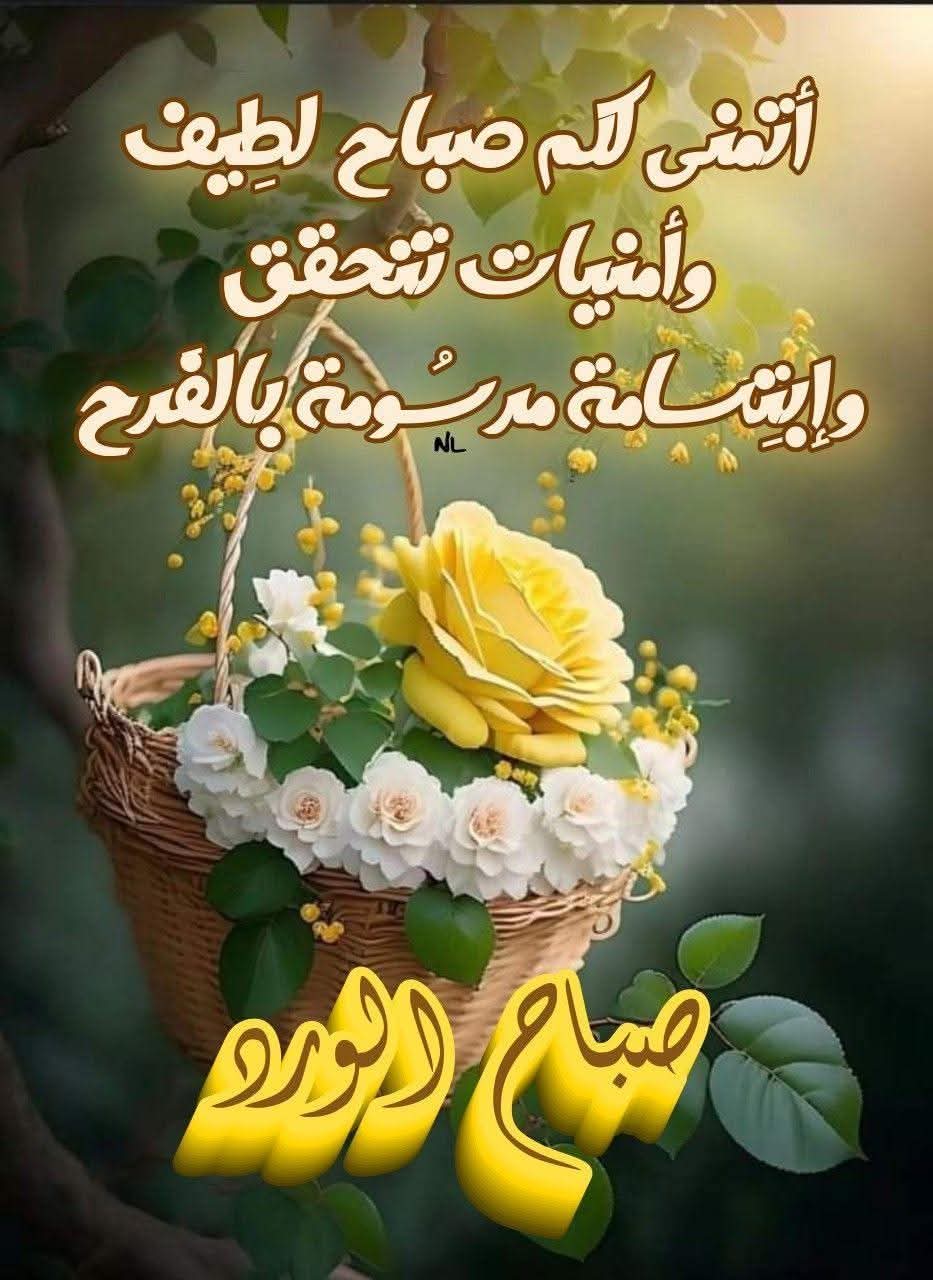 p_354114zfy0.jpg