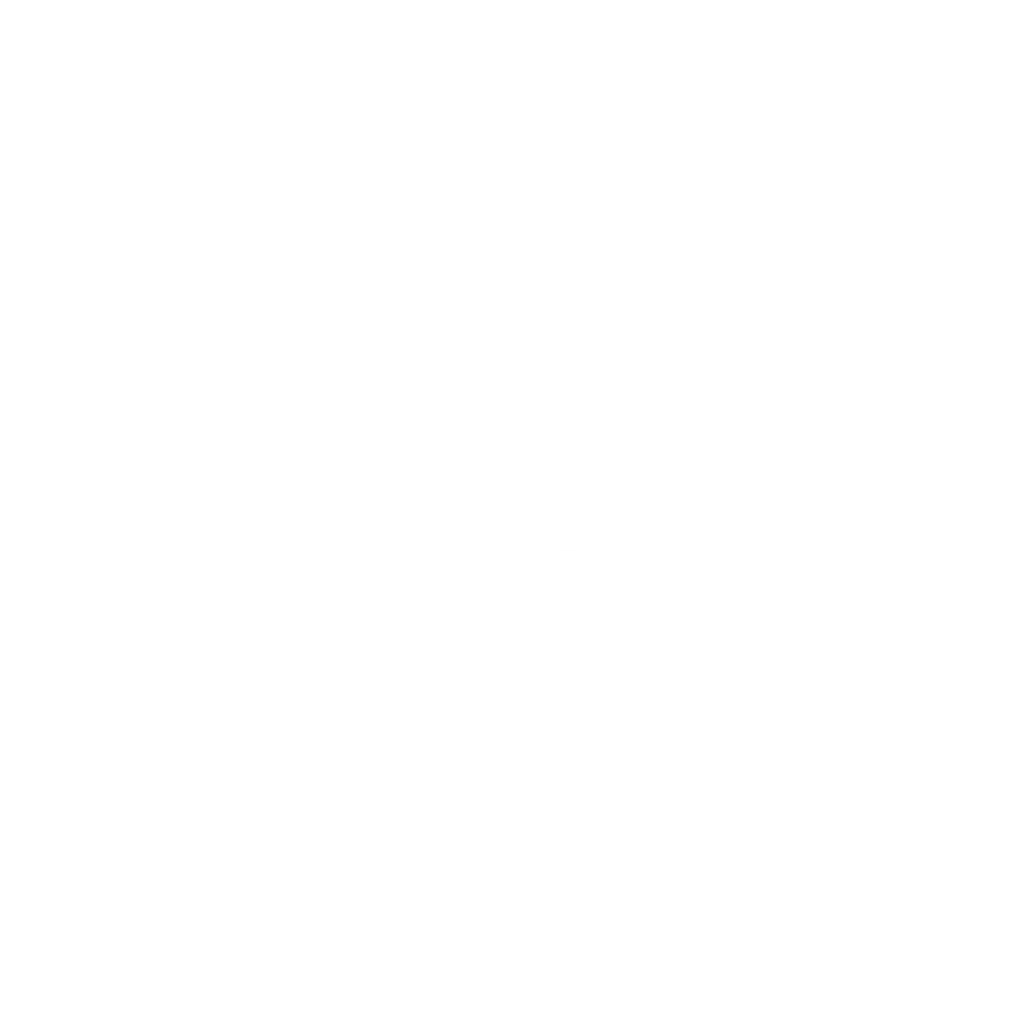 شعار شركة رحلة الطائر الصغير