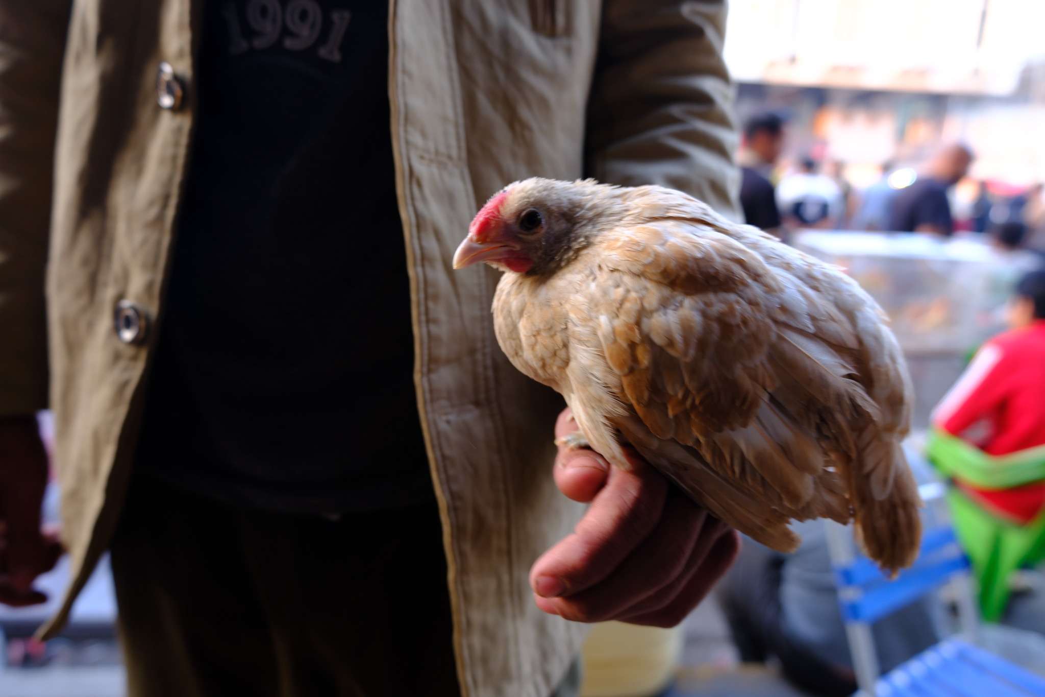 كوكتيل سوق الغزل