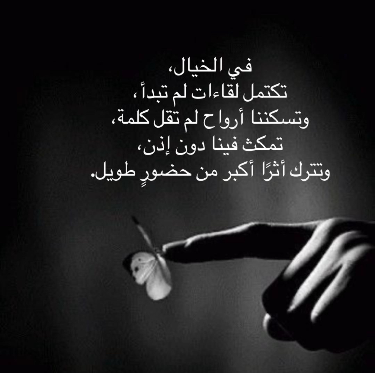 ������ ���� ������ �� ���� ������