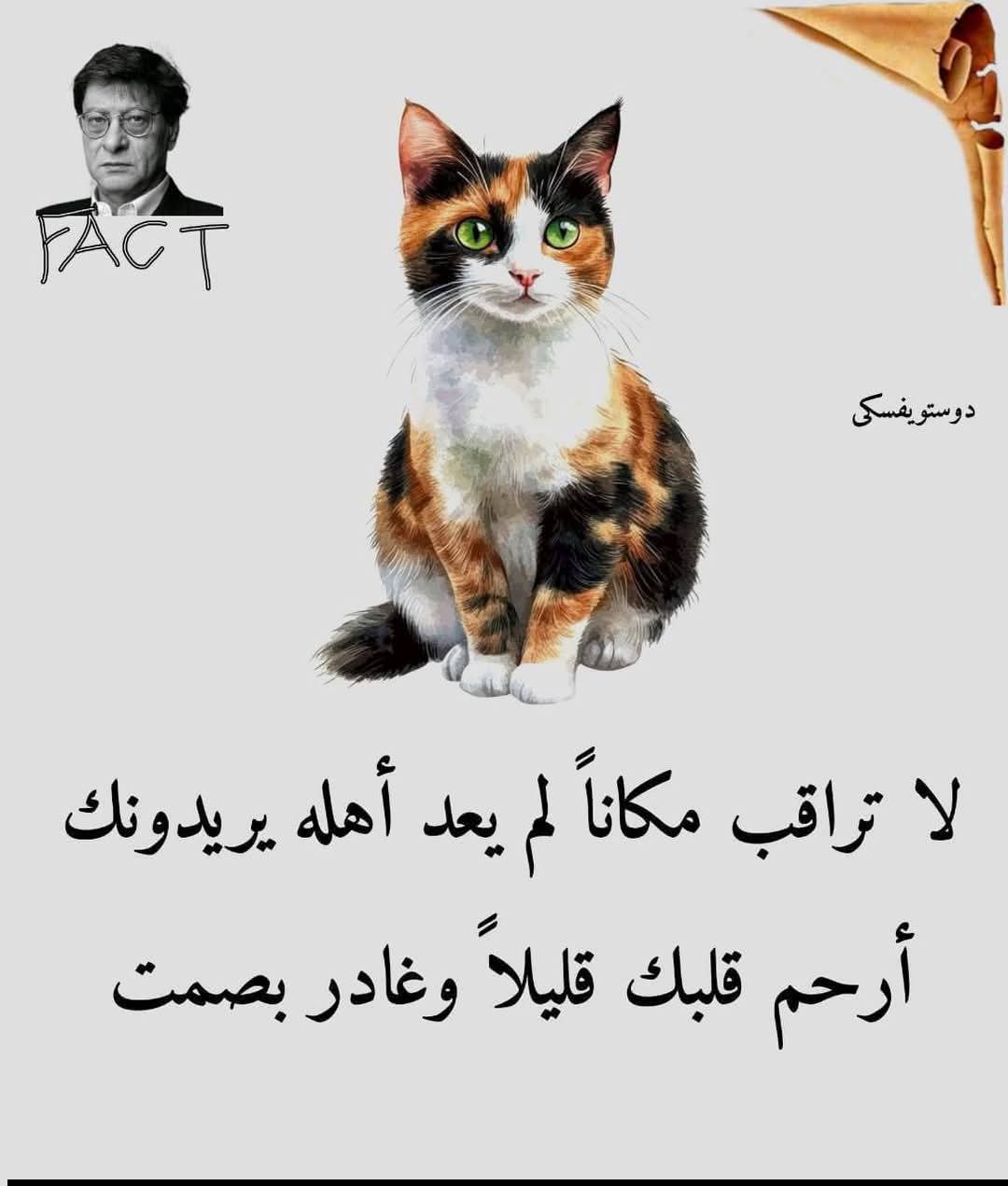 �� ����� ����� �� ��� ���� ������� 