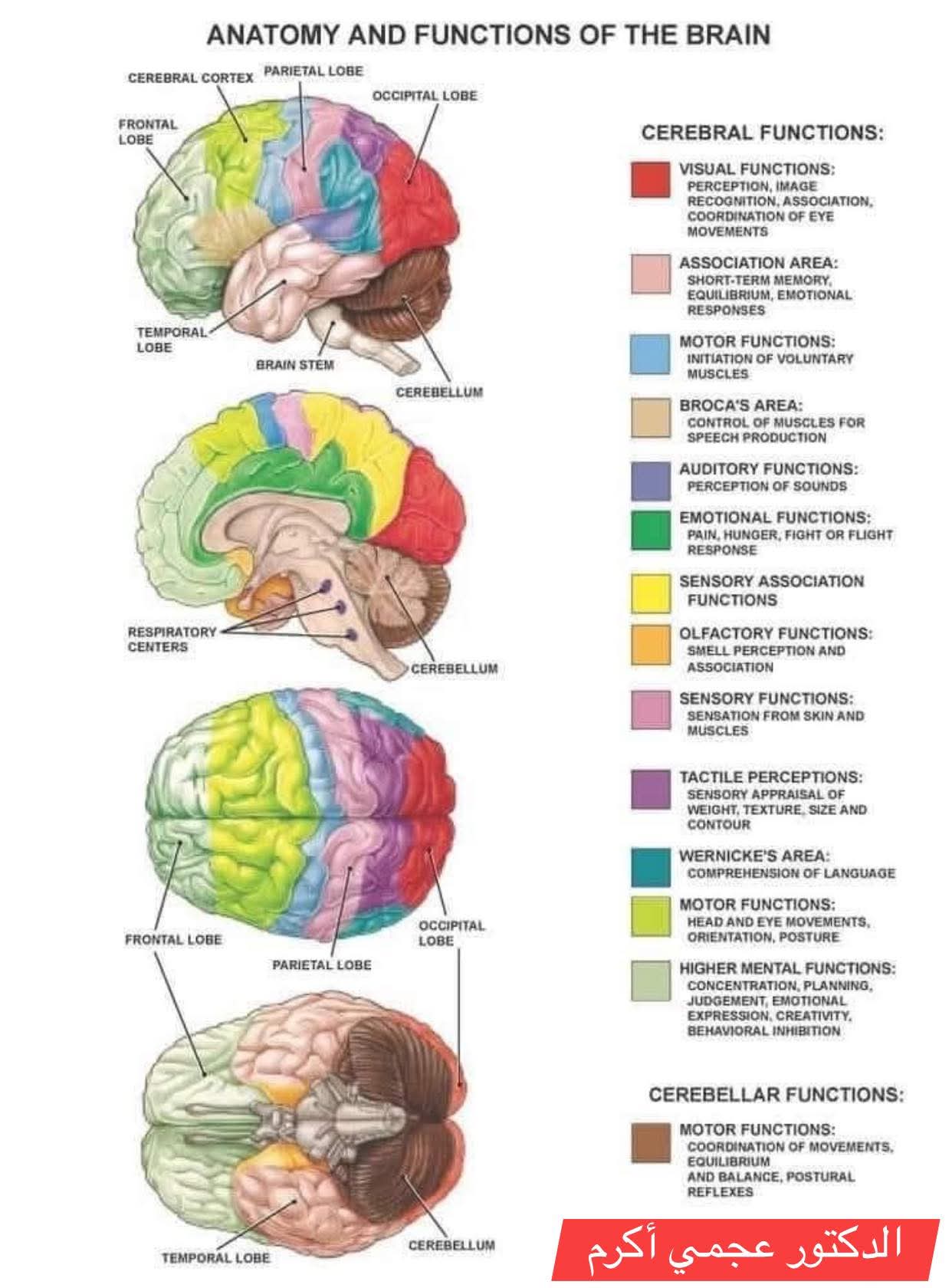 🧠 ��� ����� ������ �������� �� ���������� �������‼️ 