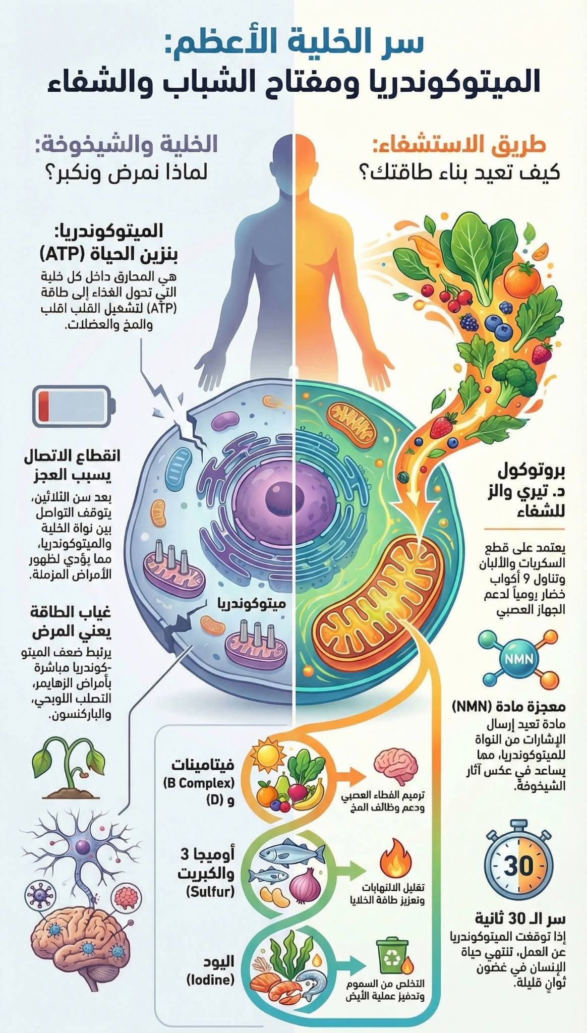 ���� ������� ������� ��������� 