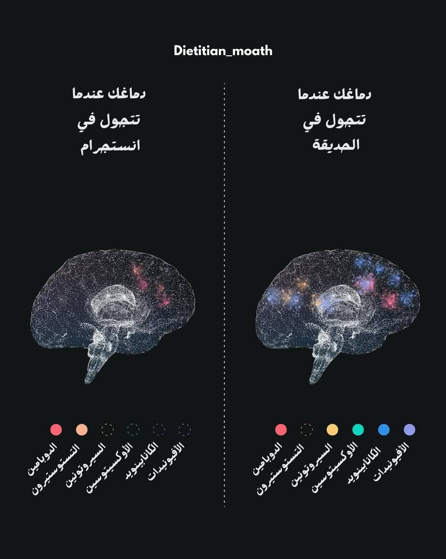 ���� �� ����� ������� 