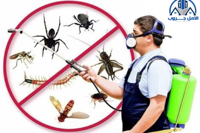 شركة رش حشرات بالرياض 