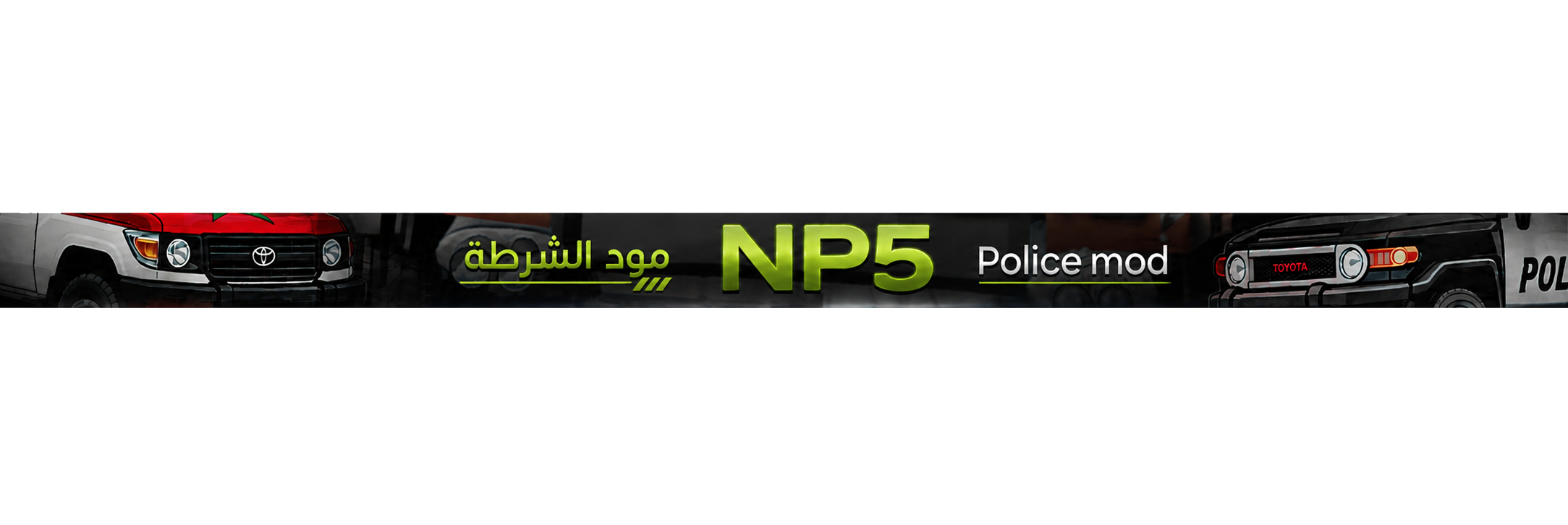 np5 banner