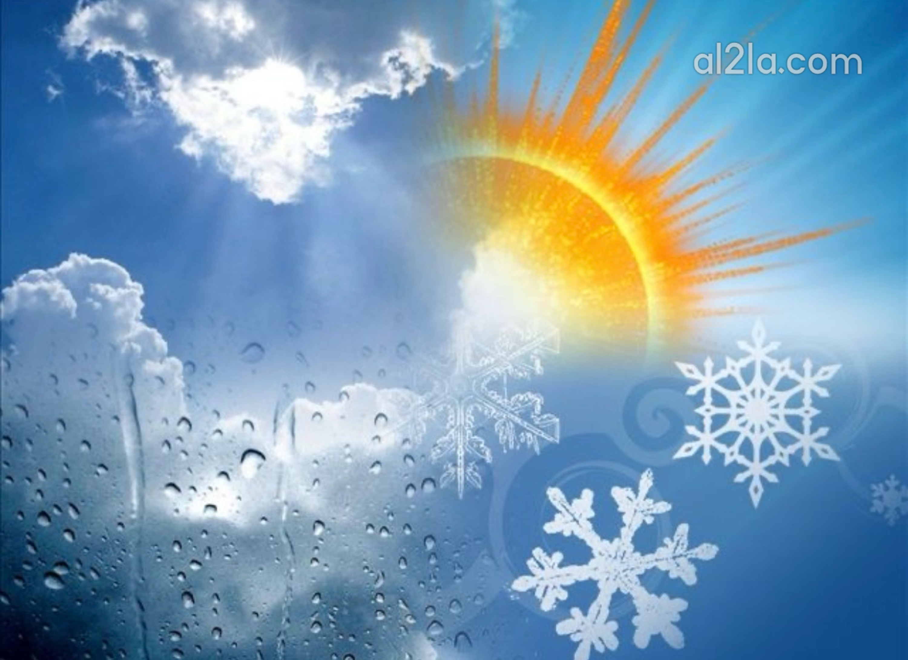 #�����_�����_������� p_387305i3d2.png